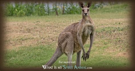 Translate 'kangaroo' into Tagalog: meaning & definition .